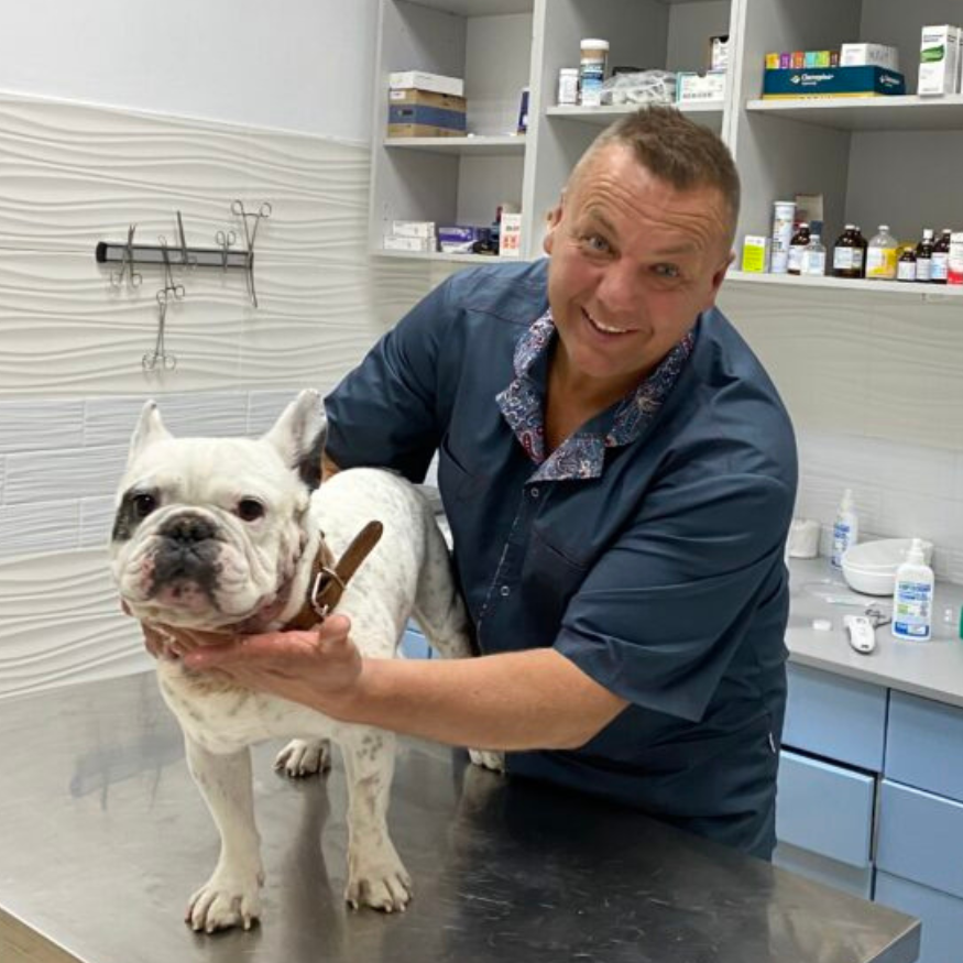 Oleg Kashlyak, Merlion veterinary clinic